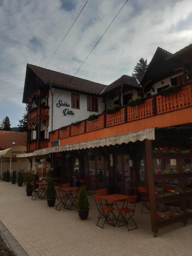Vila Szoke Совата Экстерьер фото