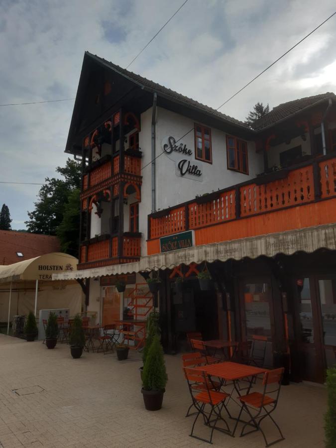 Vila Szoke Совата Экстерьер фото